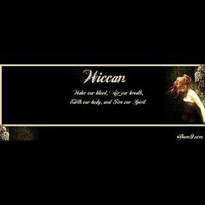 Meet your Posher, Shane